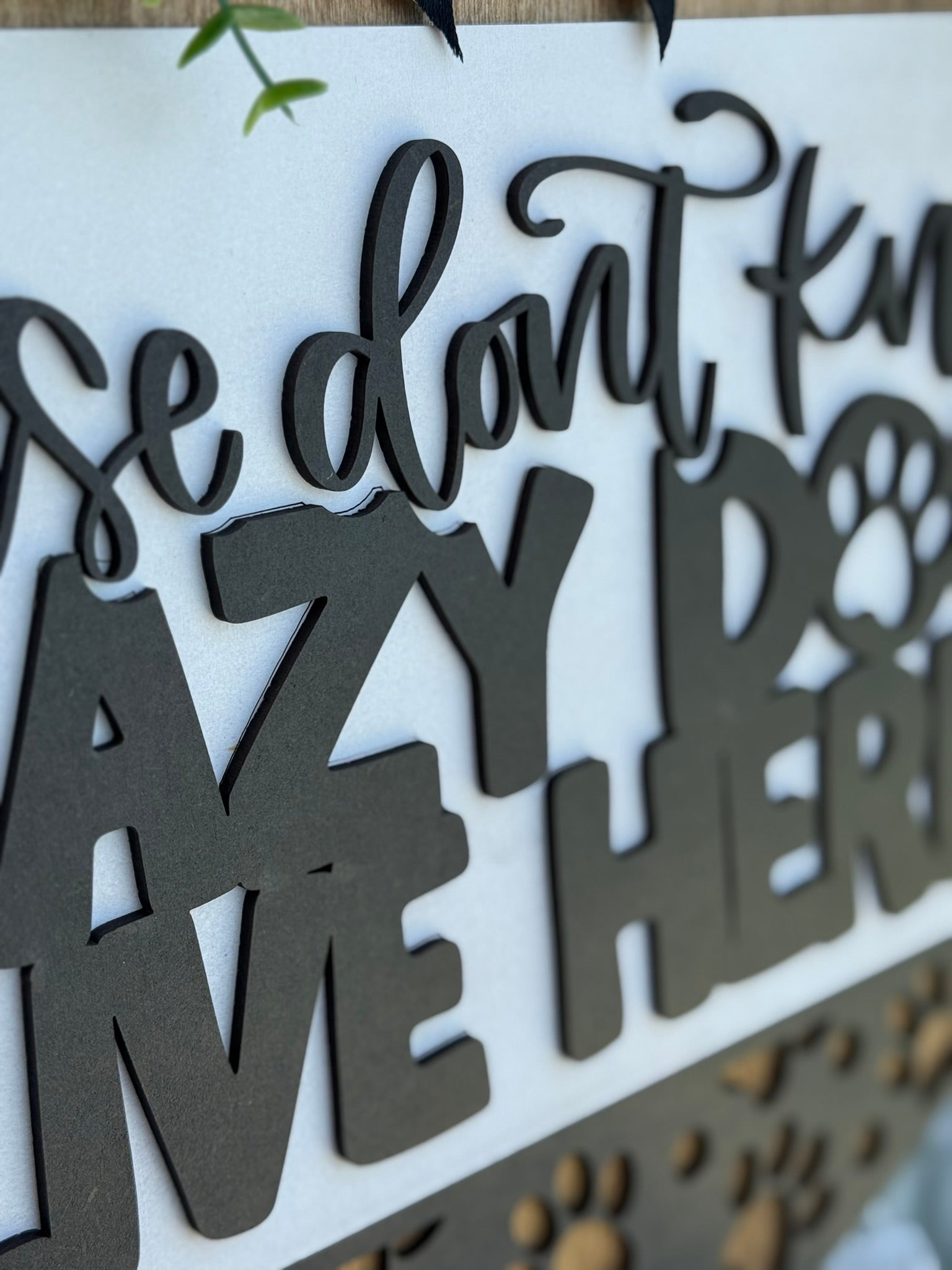 Close-up of a decorative sign with black, cursive and bold letters that read, “Please don’t knock, CRAZY DOGS LIVE HERE.” Part of the sign includes a paw print and some greenery at the top edge.