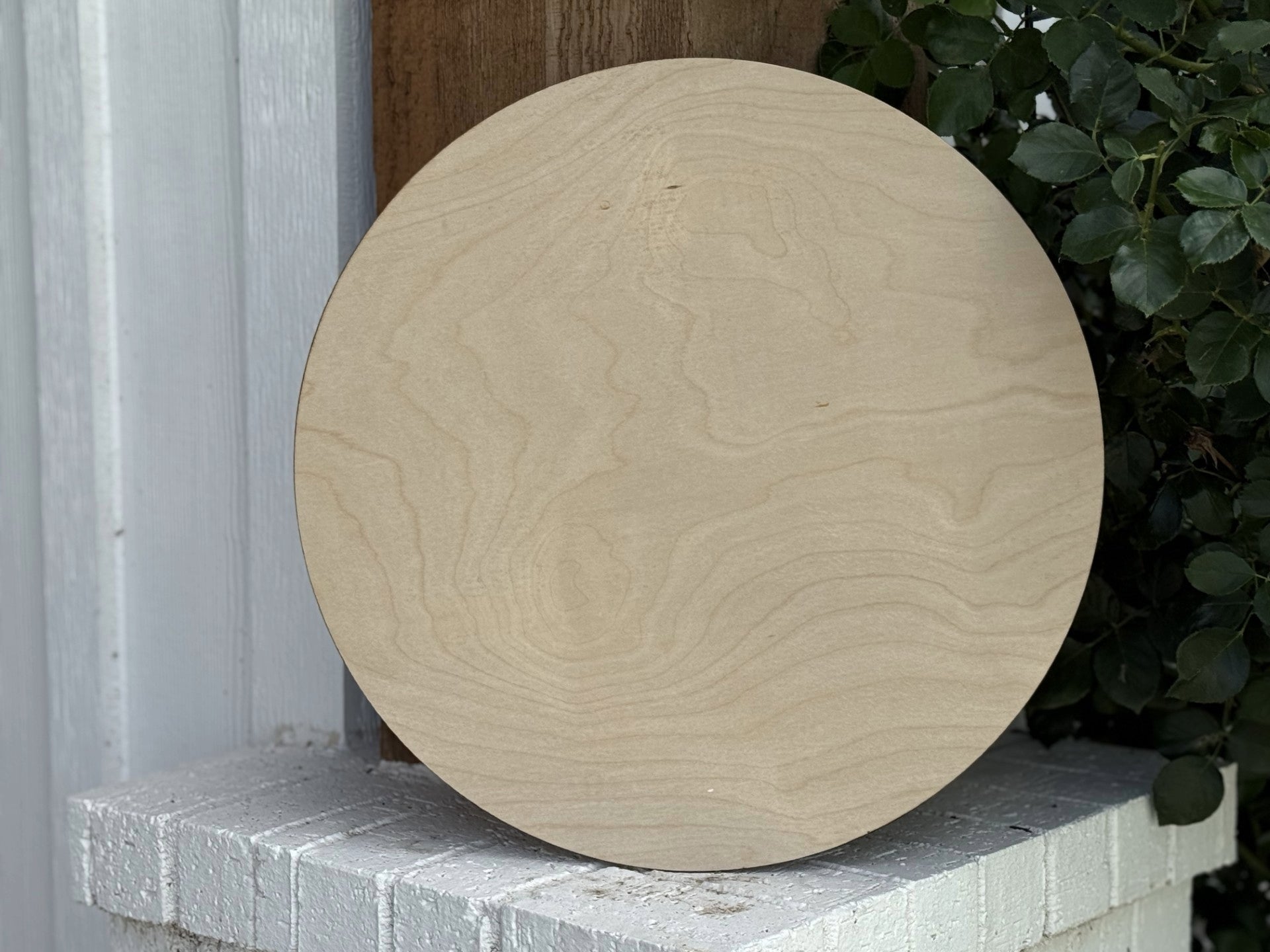 A Laser Cut Wood Round, 1/4 inch thick, with visible wood grain, leans against a white painted brick surface near a wooden panel and green leafy plant.