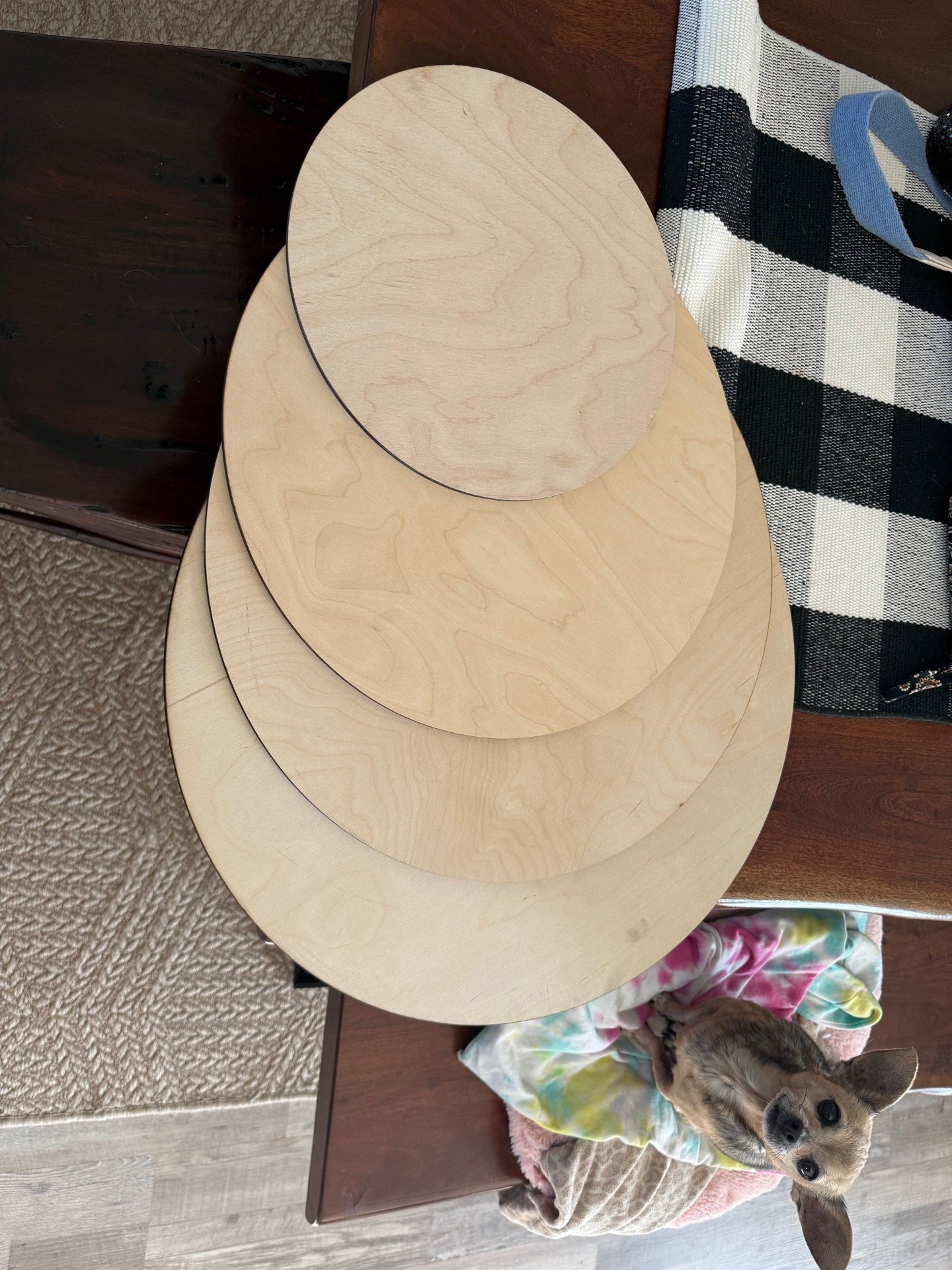 5 Pack Laser Cut Birch Plywood Wood Rounds 1/4 inch thick