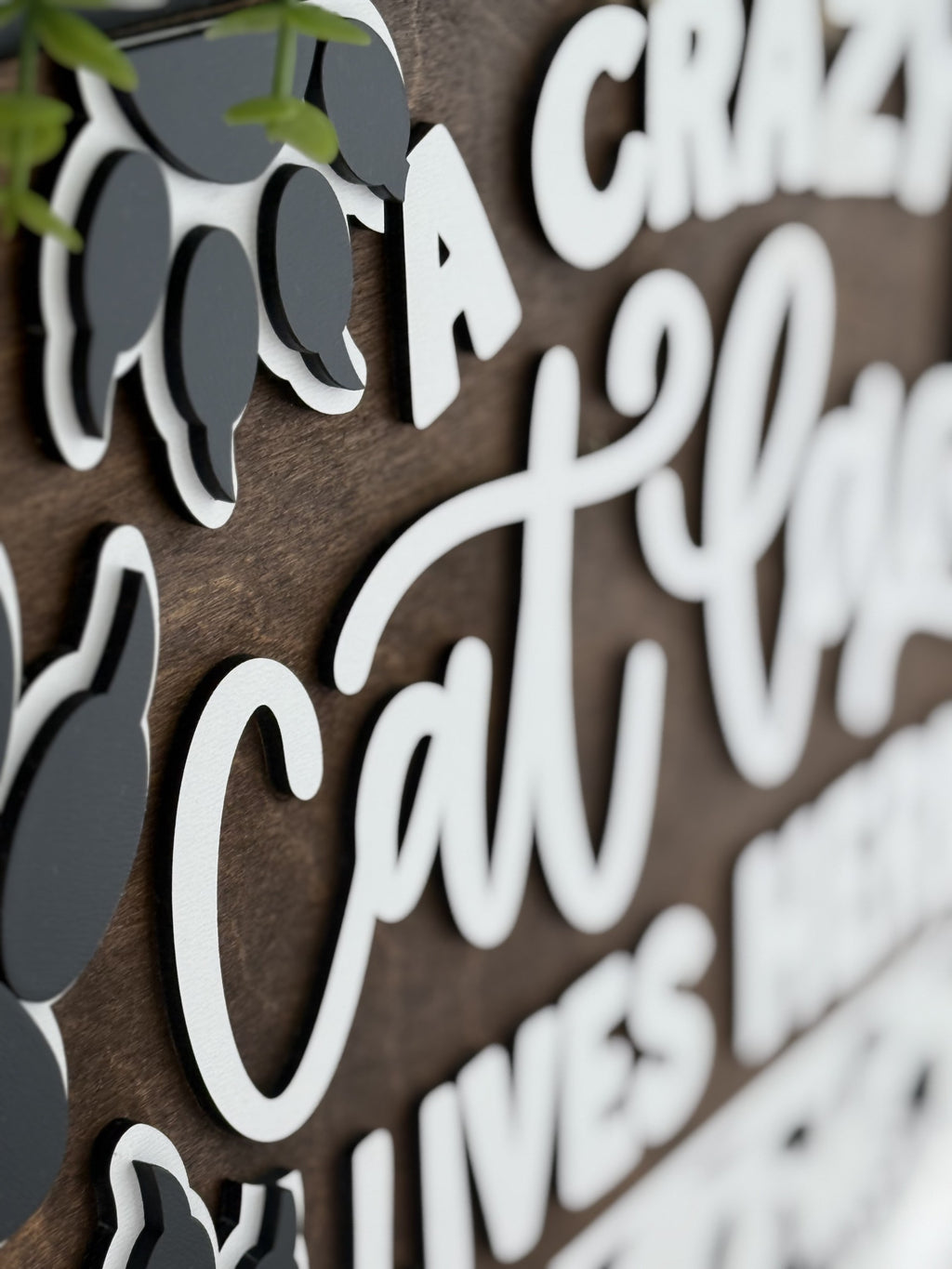 Close-up of a decorative wooden sign with white, raised letters reading “A crazy cat” and part of a cat silhouette, with green leaves visible at the top left. The background is dark wood.